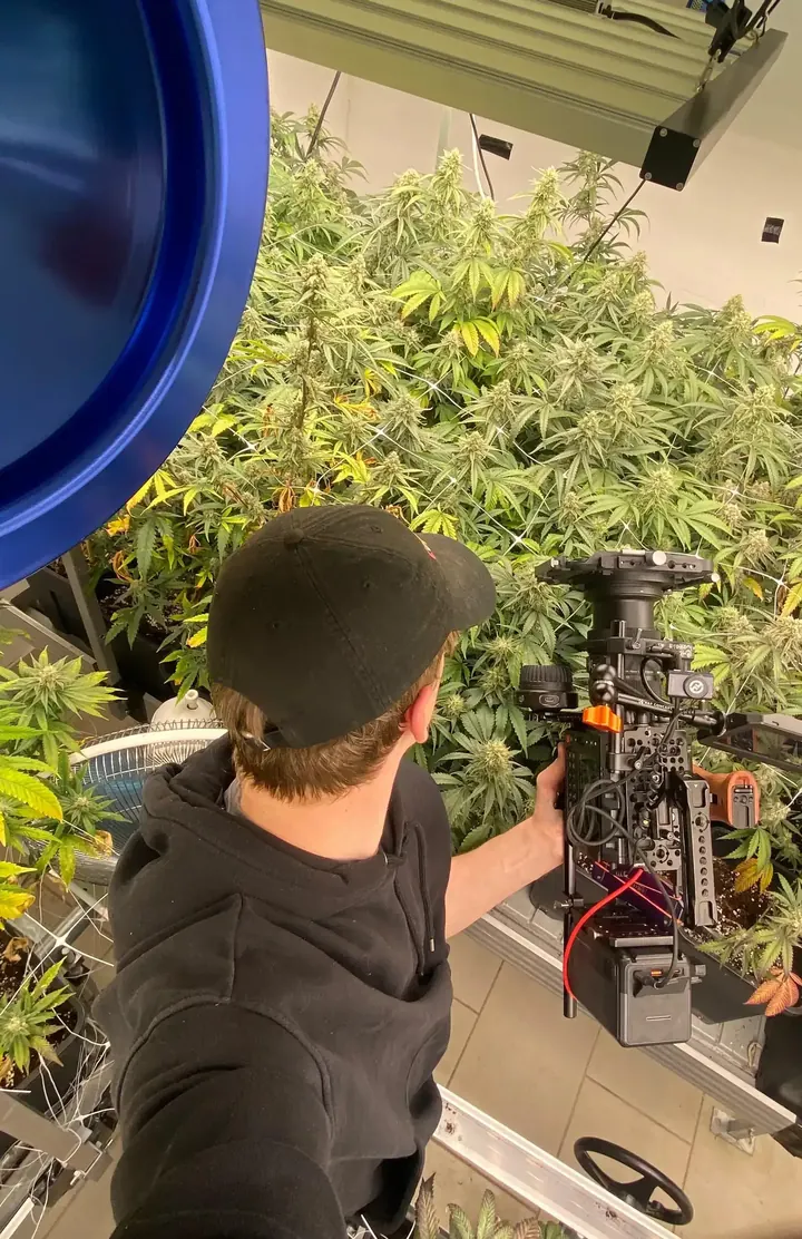 Greenhouse Shoot